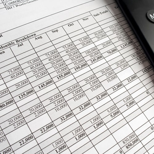 photo of spreadsheet with monthly breakdown of business income and expenses